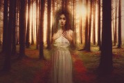 白狐之夢，神秘與幻想的交織，白狐之夢，神秘與幻想的交織