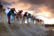 種地免費游戲，開啟你的農業(yè)夢想之旅，種地大富翁，啟動你的農田冒險之旅，免費享受農業(yè)的樂趣