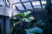 蘋果版的免費(fèi)生存類游戲，探索、建造與生存，打造屬于你自己的蘋果版生存世界，一款豐富的探索與建造類游戲