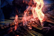 夢(mèng)中茄子的神秘之旅，夢(mèng)中茄子的神秘之旅