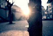 夢中的破碎之光——燈泡碎了的寓意與解讀，夢中的破碎之光，燈泡碎了的深層寓意與解讀