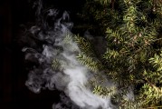 蒸汽朋克風(fēng)格的植物大戰(zhàn)僵尸，植物刺客，一款無需付費的游戲，蒸汽朋克植物戰(zhàn)爭僵尸，免費游戲帶你體驗?zāi)┤丈? title=