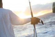 夢游深海，與巨魚共舞，夢游深海，共舞巨魚之旅
