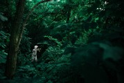 夢境中的動物世界，一場奇幻的夢境之旅