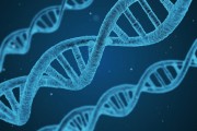 同股同權什么意思？這種股權結(jié)構(gòu)對公司治理有何影響？