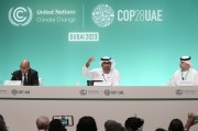 COP29氣候大會臨近，歐美金融高管參會熱情降溫