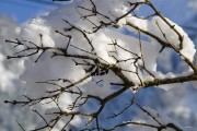 夢(mèng)中大雪紛飛，厚雪之下的世界，夢(mèng)中大雪紛飛，厚雪之下的世界探索