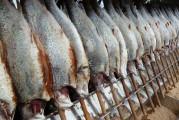 女人夢(mèng)到魚的神秘寓意，女人夢(mèng)到魚的神秘寓意
