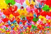 夢境中的老鼠狂歡，夢境中的老鼠狂歡之旅