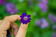 芭比打扮游戲免費(fèi)下載，讓小女孩過上精致的生活，芭比打扮游戲
