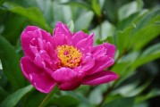 花啦花啦注冊難題解析，常見問題及解決方案，花啦花啦注冊攻略，常見問題解答與解決方案