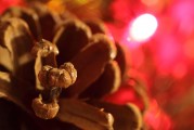 夢(mèng)到蛇死了，解讀這一夢(mèng)境的預(yù)兆與深層含義