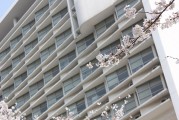 云天勵飛:北京市金杜（深圳）律師事務(wù)所關(guān)于深圳云天勵飛技術(shù)股份有限公司2024年年度股東大會之法律意見書