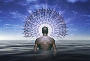 揭秘網(wǎng)站自然流量的秘密源泉，五大策略助你提升SEO效果