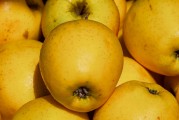 日本Rapidus公司正與蘋果、谷歌洽談芯片大規(guī)模生產(chǎn)事宜