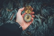 夢中的白發(fā)生長，一次關(guān)于時間、衰老與自我認(rèn)知的探索，夢中的白發(fā)生長，時間、衰老與自我認(rèn)知的探索