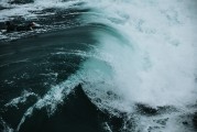 夢中的蛇海——一次神秘的心理探險，夢中的蛇海，一次神秘的心理探險之旅