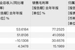 2024智駕年報透視：輔助駕駛扭虧為盈，自動駕駛?cè)詿X