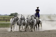 馬場俱樂部注冊指南，輕松開啟您的馬術(shù)之旅，輕松入局馬術(shù)世界，馬場俱樂部注冊全攻略