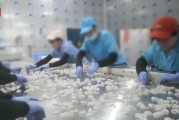 查封！關(guān)停！各地多部門連夜查處3·15曝光問(wèn)題