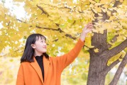 夢中情愫——我與夢中人的奇妙邂逅，夢中情愫，我與夢中人的神秘邂逅