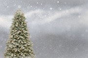 桌面圣誕樹(shù)插件網(wǎng)站，點(diǎn)亮冬日溫馨，增添節(jié)日氣氛