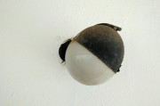 解讀夢(mèng)境中的鱉，象征意義與心理暗示
