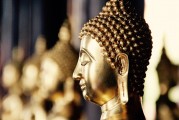 自由冷鋒游戲的神秘面紗——探秘其背后的游戲內(nèi)涵與魅力，自由冷鋒，揭示隱藏在游戲背后的深度內(nèi)涵與魅力