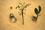輕盈的夏日午后——輕松享受薄荷游戲免費，輕松享受，夏季薄荷游戲——只用一包薄荷