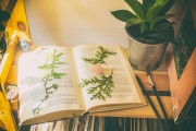 免費(fèi)游戲的春天，11個(gè)值得推薦的游戲，最新11款免費(fèi)游戲推薦，春天來(lái)臨的免費(fèi)游戲狂歡盛宴
