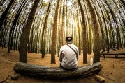 夢(mèng)到親人離開，心靈的觸動(dòng)與思考
