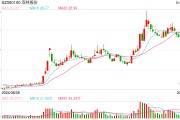 機(jī)器人概念連續(xù)反彈，科創(chuàng)50指數(shù)半日漲0.45%