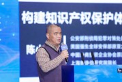 新諍信集團陳小東：IP產(chǎn)業(yè)的保護是版權保護、著作權保護