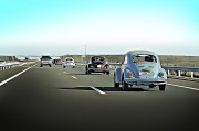 賽車之夢(mèng)，速度與激情的交織，賽車之夢(mèng)，速度與激情的交織