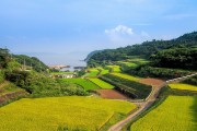 湘西網(wǎng)站流量，助力鄉(xiāng)村振興的數(shù)字引擎