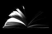 探討PS人像插件網(wǎng)站，提升攝影創(chuàng)作能力的新工具，從新手到專業(yè)，探索PS人像插件網(wǎng)站提升攝影創(chuàng)作能力的新工具