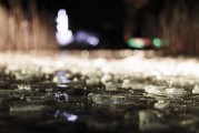 夢中的污濁之水，心靈的反思與啟示