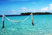 夢(mèng)中的大魚(yú)之旅，夢(mèng)中的大魚(yú)之旅