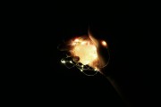 夢(mèng)魘之影，被黑狗咬手的夢(mèng)境解析