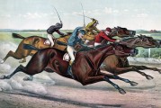 夢(mèng)到毛驢的寓意與解讀，夢(mèng)到毛驢的寓意與象征解讀