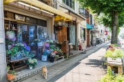 夢中的樓房，一場心靈的探索之旅，夢中的樓房，心靈探索之旅的啟程