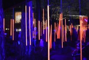 夢(mèng)中喜宴，一場(chǎng)難忘的盛宴，夢(mèng)中喜宴，難忘的盛宴之旅