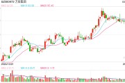 董事長被留置并立案調(diào)查 股價盤中一度跌超10% 萬辰集團如何化解危機？