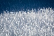 夢(mèng)中的雪花舞動(dòng)，夢(mèng)中的雪花舞動(dòng)之美