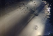 夢中情愫，解析夢中有人喜歡自己的心理奧秘，解析夢中有人喜歡自己的心理奧秘，夢中情愫的探索