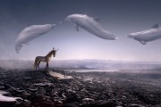 夢(mèng)中鯨歌，一場(chǎng)與海洋巨獸的奇妙邂逅，夢(mèng)中鯨歌，與海洋巨獸的奇妙邂逅