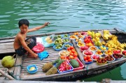 夢(mèng)中的捉魚之旅，未果的期待，夢(mèng)中的捉魚之旅，未果的期待之旅