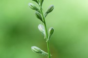 搭建菠菜網(wǎng)站的重要性與步驟，重要性，為何搭建菠菜網(wǎng)站？步驟指南