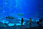 日照市是中國(guó)山東省的一個(gè)海濱城市，擁有豐富的旅游資源和文化底蘊(yùn)。隨著互聯(lián)網(wǎng)技術(shù)的發(fā)展，日照的旅游業(yè)也在不斷壯大。日照網(wǎng)站優(yōu)化的重要性不言而喻。，日照，中國(guó)山東省海濱城市的旅游資源與文化魅力