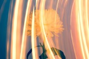 CCG（Collective Content Game），一個讓玩家盡情探索的免費游戲世界，自由探索，無拘無束！體驗CCG的魅力，免費游戲世界之旅